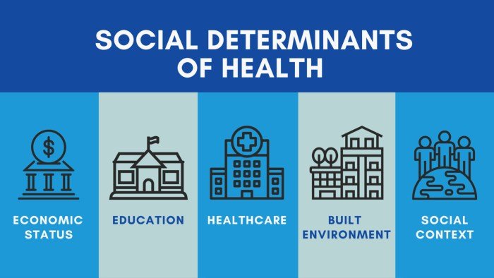 Determinants health social sdh education public promotion work age live conditions grow born people which