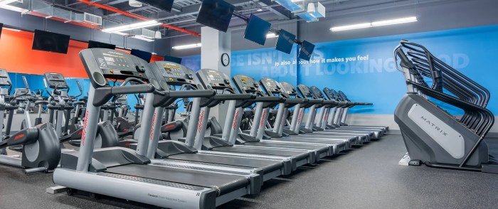 Blink fitness queens gym location opens ozone park newest friendly wallet their qns popular hub manager become activity healthy sure