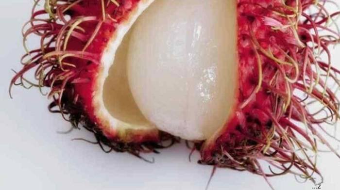 Rambutan health benefits