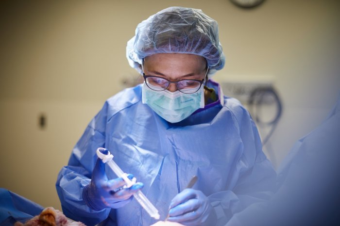Beauty surgeon