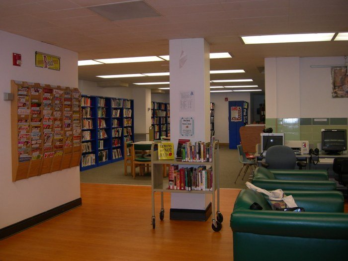 Mendota institute