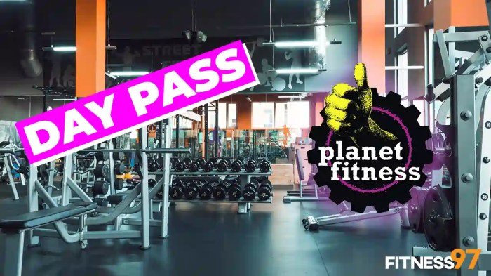 How much for a day pass at planet fitness
