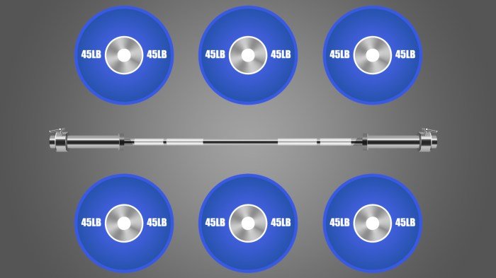Bodybuilding dumbbell barbell routines workouts routine laminated