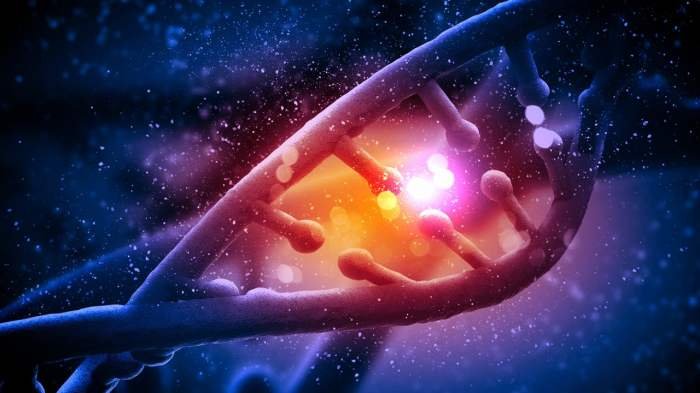 Health coaching individual post learn quality choose good products