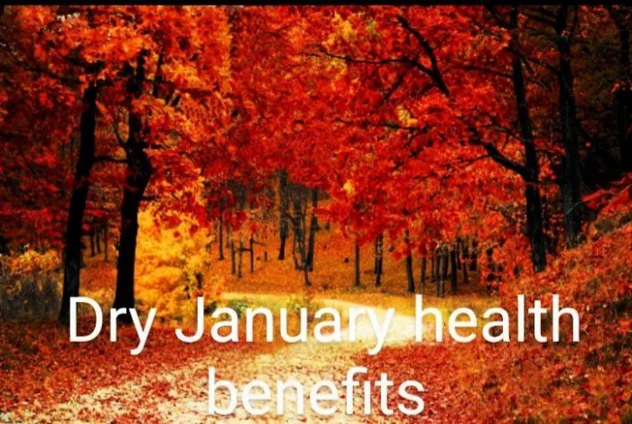 Dry january health benefits
