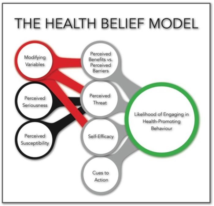 Belief psychology hochbaum iresearchnet cues illness