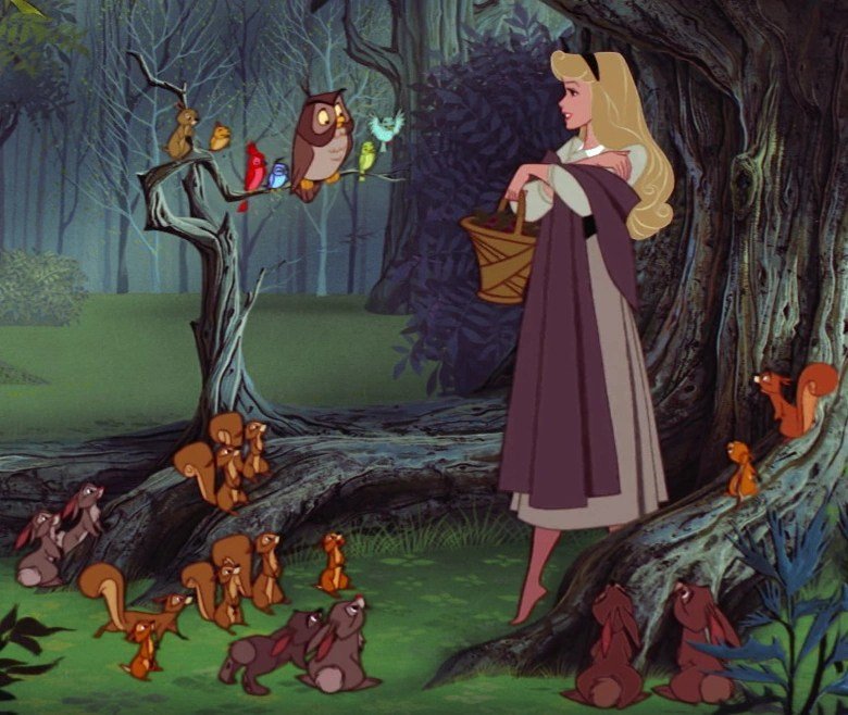 Aurora in sleeping beauty