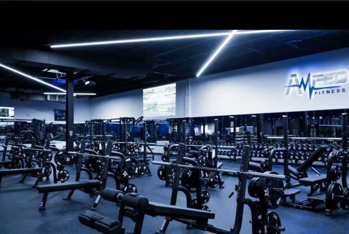 Amped fitness plantation