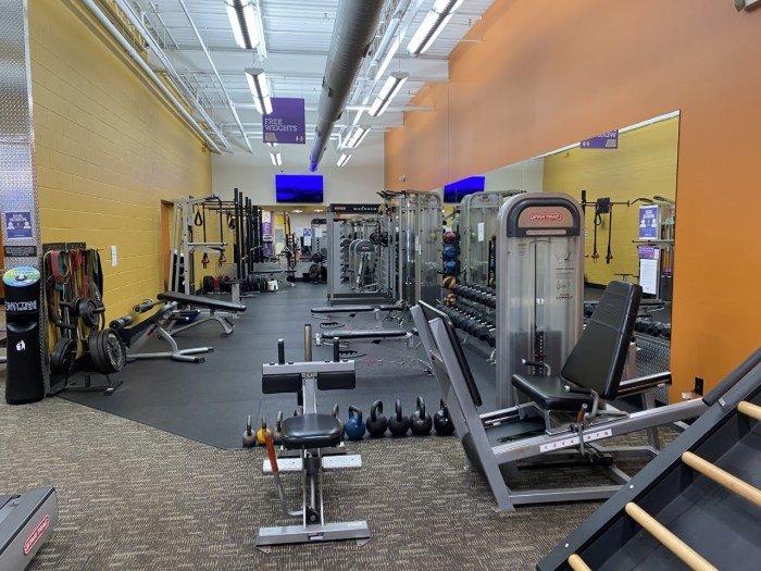 Anytime fitness virtual coaching