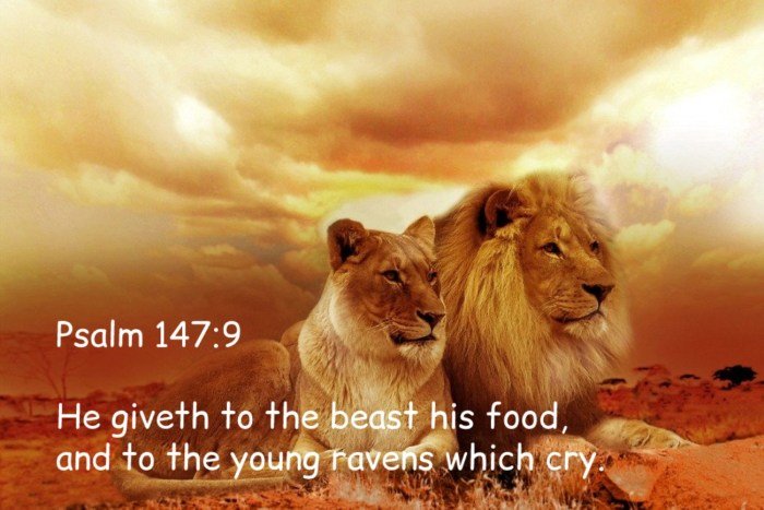 Bible metaphors