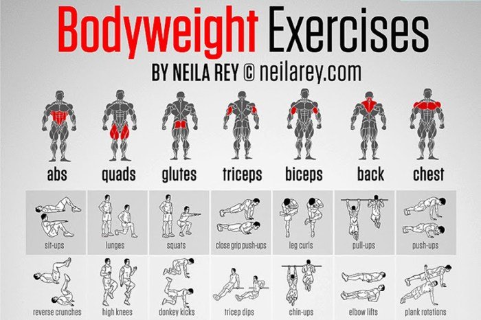 Calisthenics fitness program