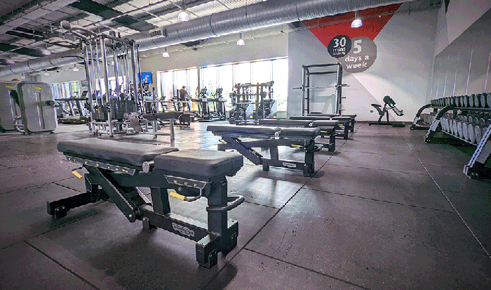 Everybody's fitness