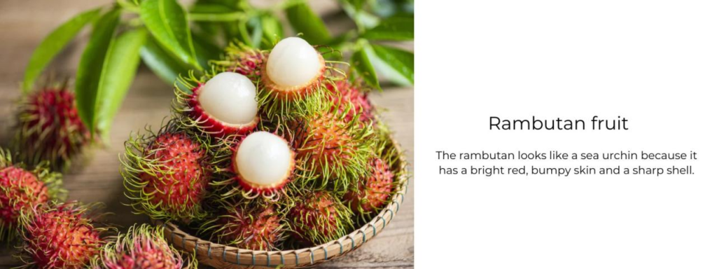 Rambutan benefits