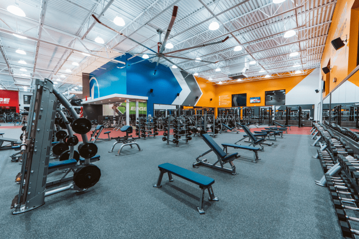 The edge fitness