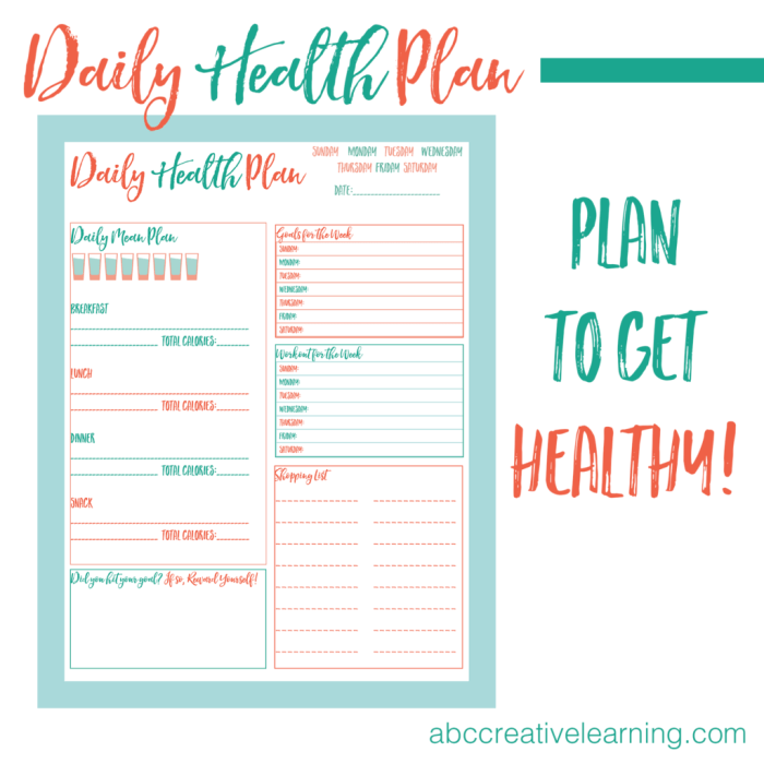 Plan action personal health examples example pdf word