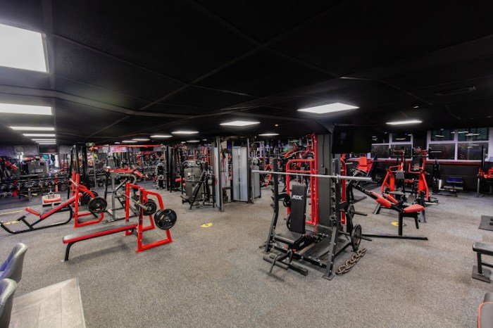 Body evolution fitness