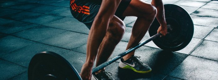 Live fitness gym
