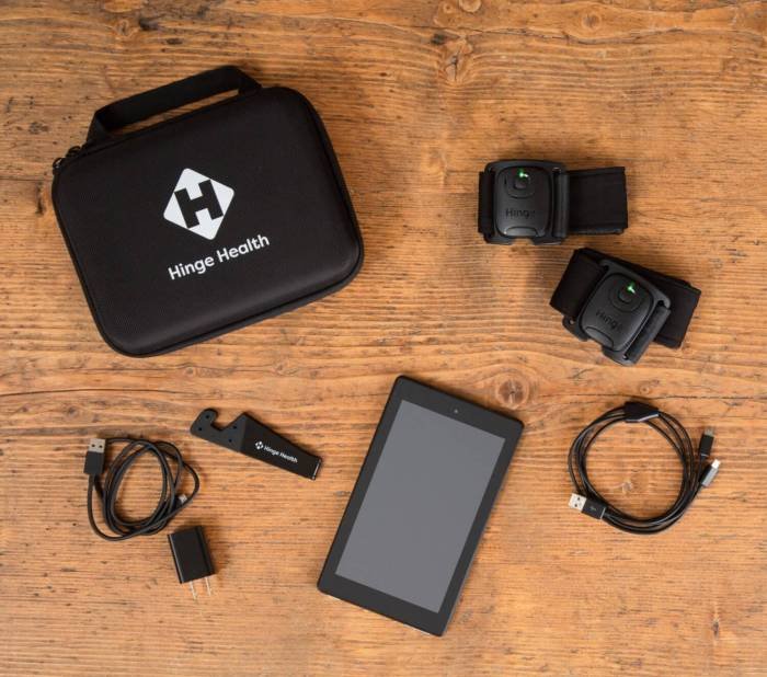 Hinge musculoskeletal scores 300m fiercehealthcare dedicated needs Hinge health