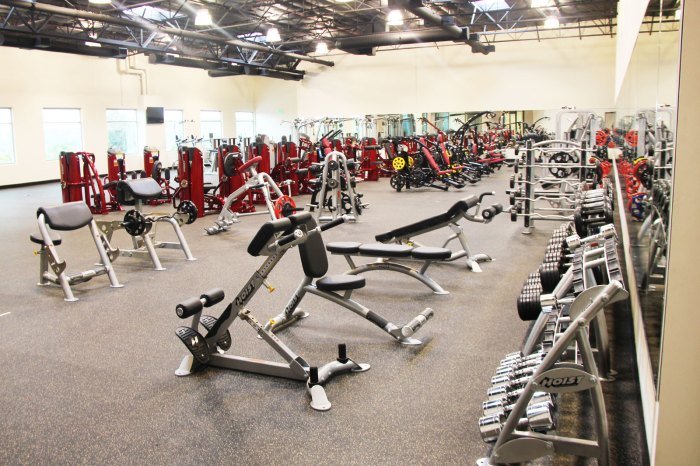 Hoist fitness
