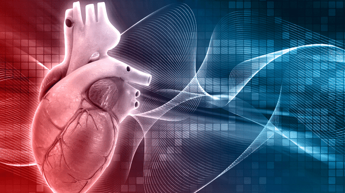 Cardiovascular health infographic cardio medical heart healthy description infographics facts infographicnow care tips version size click full visit saved importance