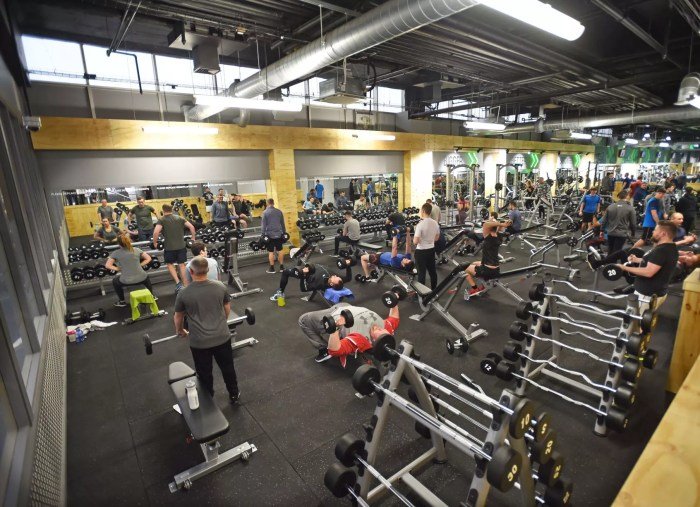 Gyms fitness Gyms fitness