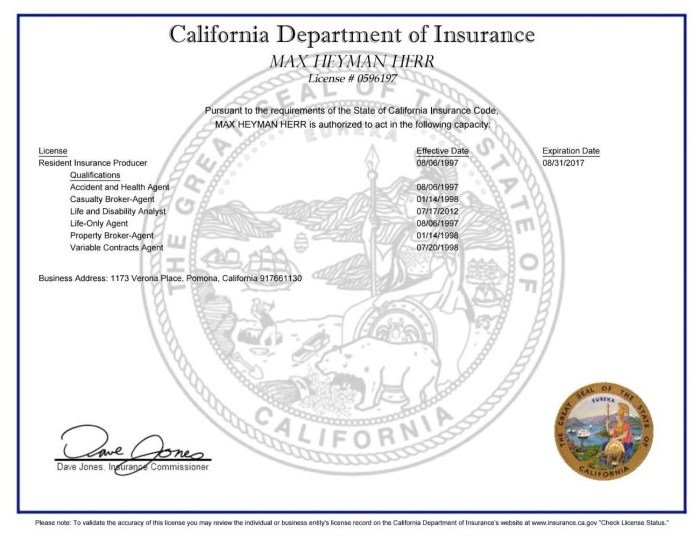 Health insurance lic