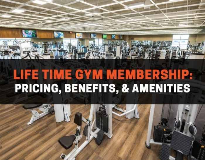 Membership club lifetime united purchase 2011 last day airport chart fly