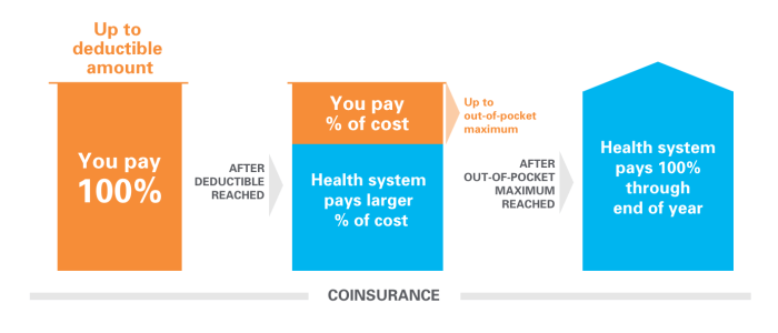 Max health services