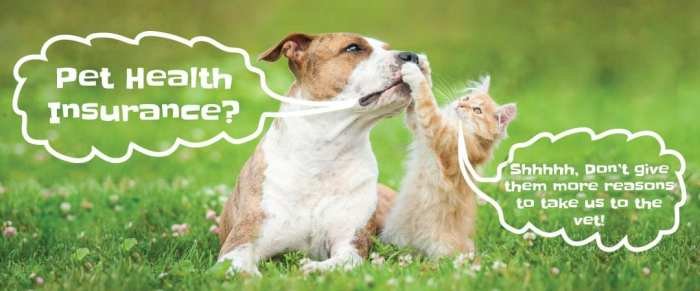 Health paw insurance