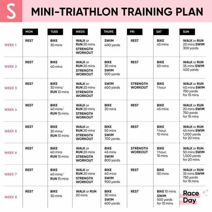Triathlon fitness plan
