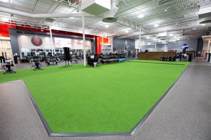 Vasa fitness near me