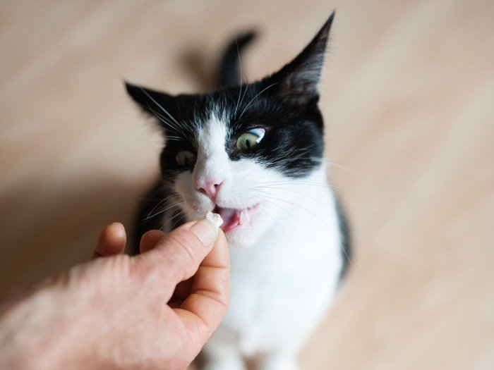Health cat treats