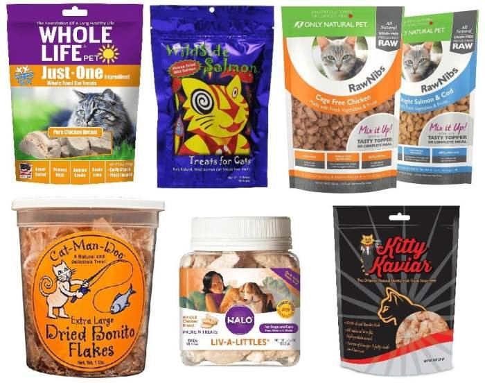 Cat pumpkin treat unboundwellness kitten