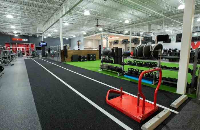 Vasa fitness near me