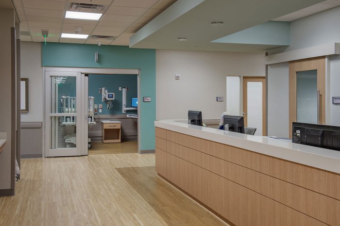 Wellstar health park vinings