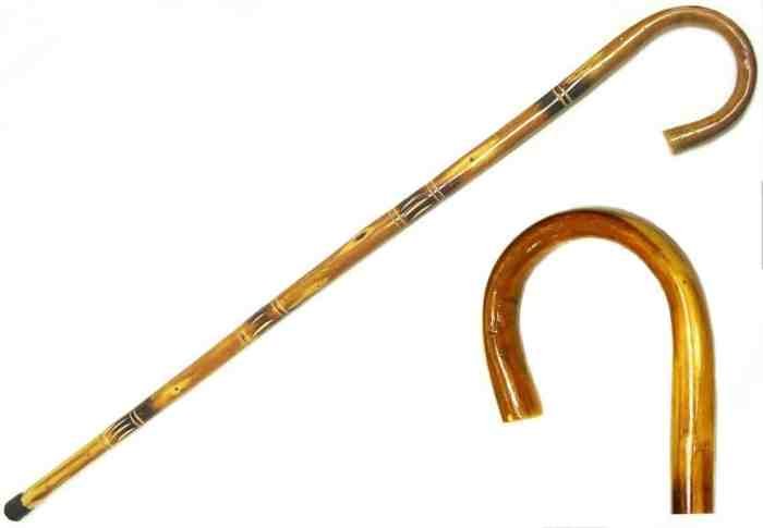 Cane canes floral elite derby