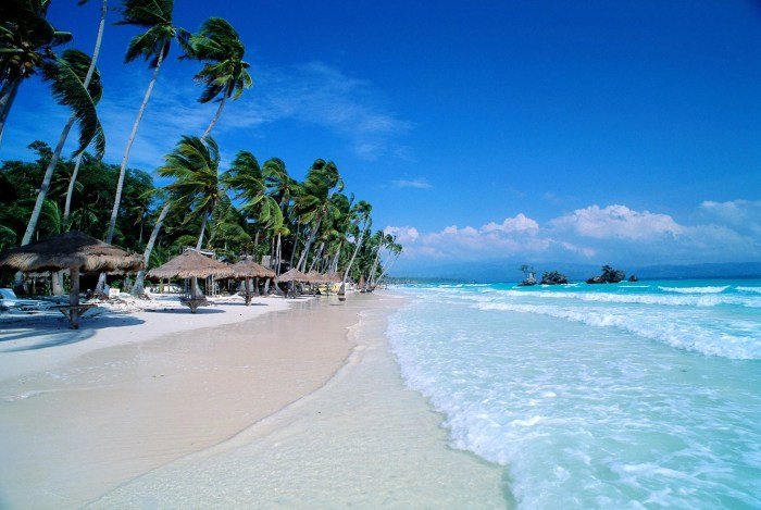 The beauty and the beach