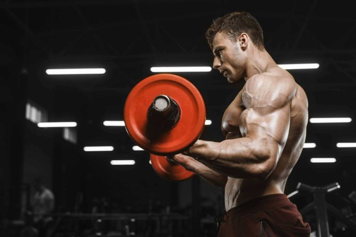 Barbells barbell kettlebells mastered dumbbells weight