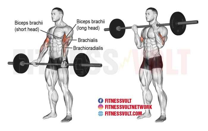 Bar fitness