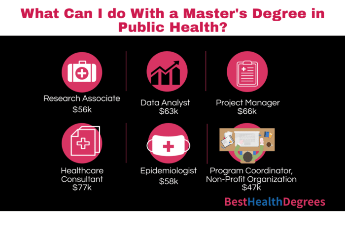 Online masters of public health program