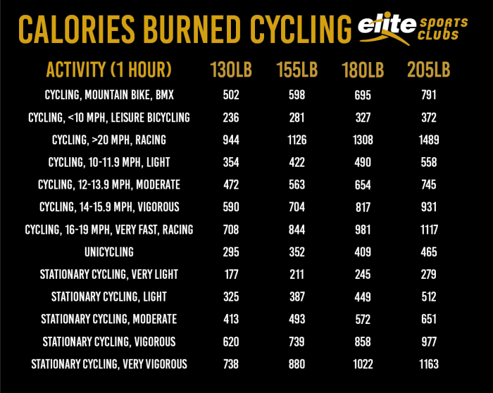 Fitness bike calories burned