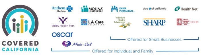 Health insurance lic