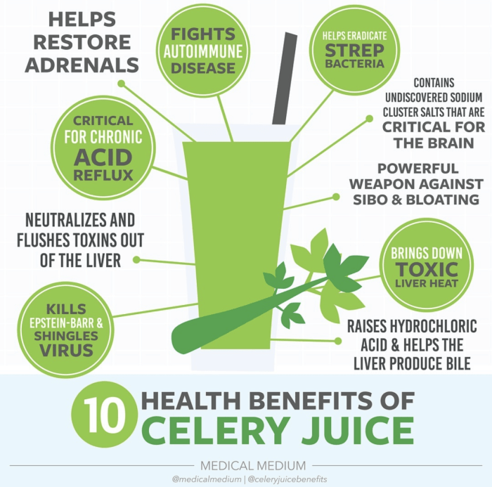 Celery benefits health recipes superfood world joint healthy