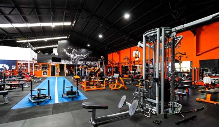 Live fitness gym