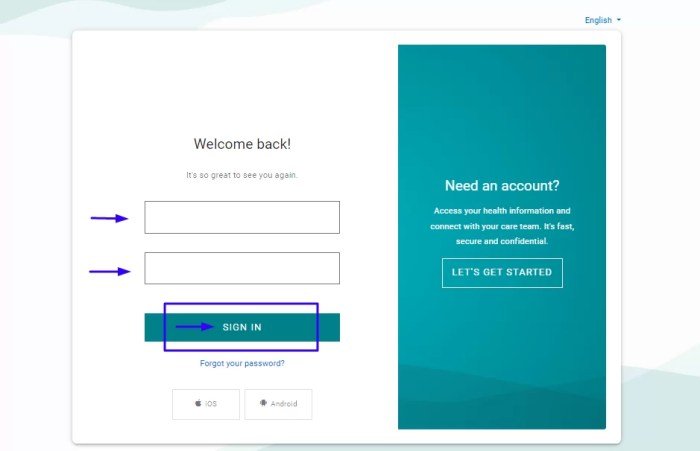 Wilmington health patient portal
