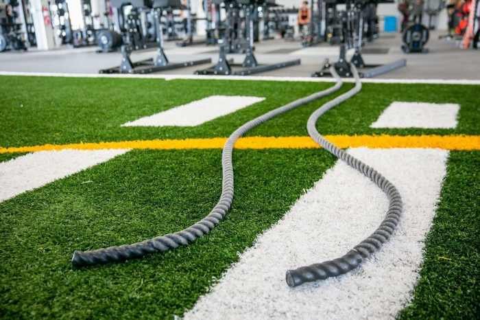 Health trainer helping trainers roster