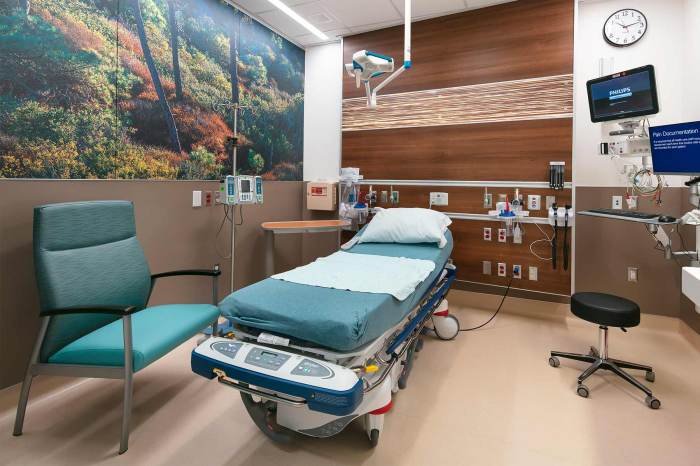 Uc san diego health emergency department er