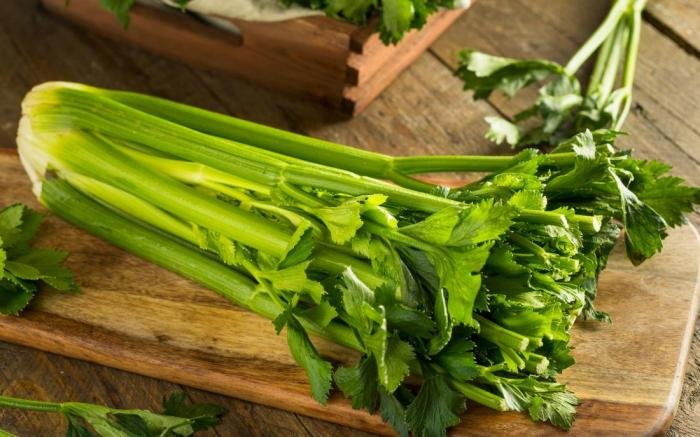 Celery benefits juice health amazing good article diabetes tumblr grassfedmama