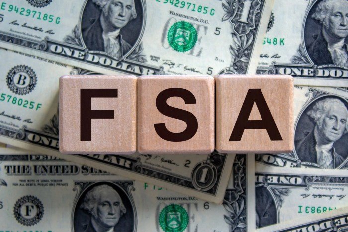 Health savings vs flexible spending account