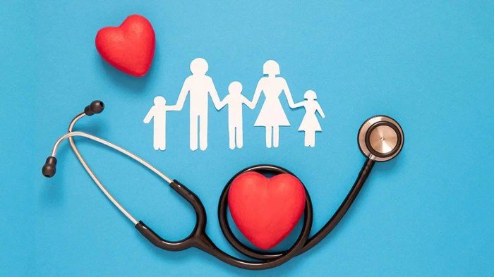 Health plan united